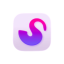 Space logo