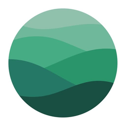 Flow logo